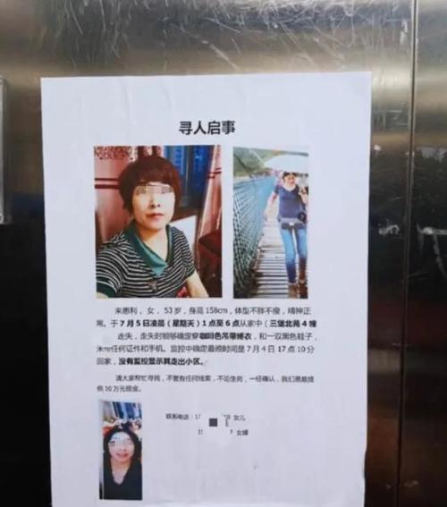 杭州女子失踪案最新进展与心灵平静的自然之旅探索