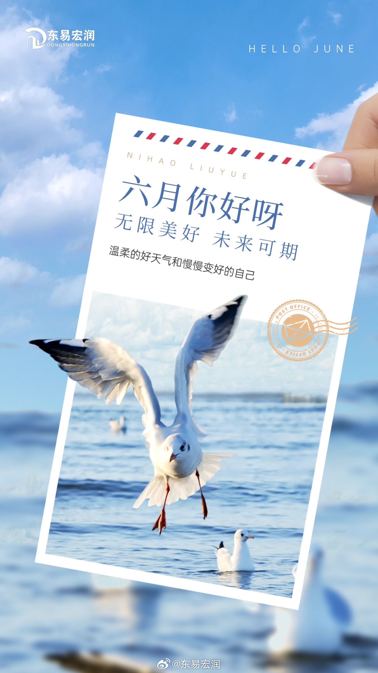 最新六月排行，夏日小趣与友情热浪涌动