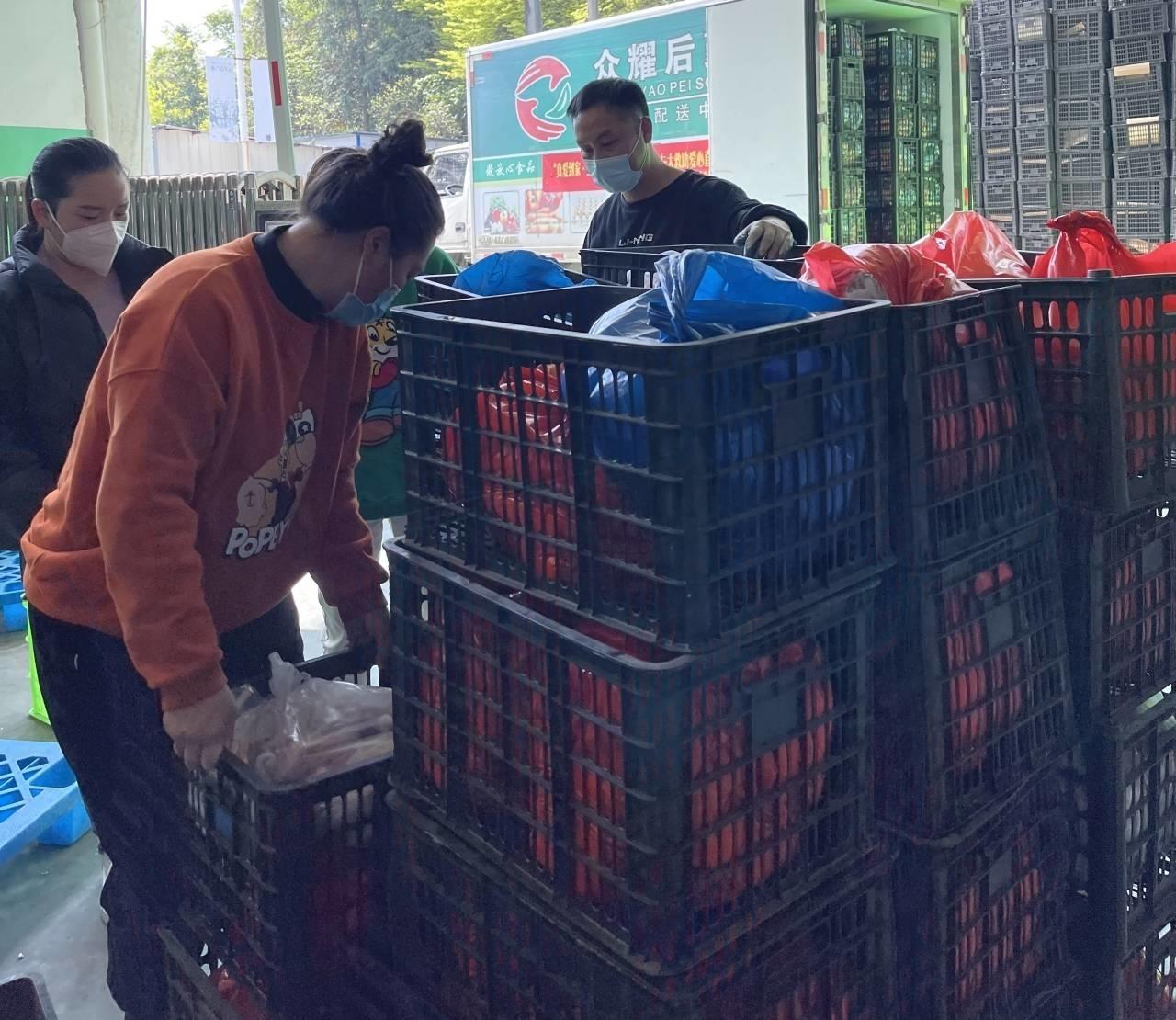 成都酒吧疫情最新动态，巷弄深处的小秘密揭秘
