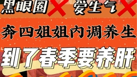 最新高招S专题揭秘，日常小趣事与友情的纽带