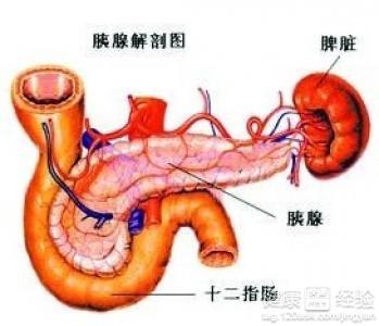 胰腺炎最新,胰腺炎最新，全面指南与步骤详解