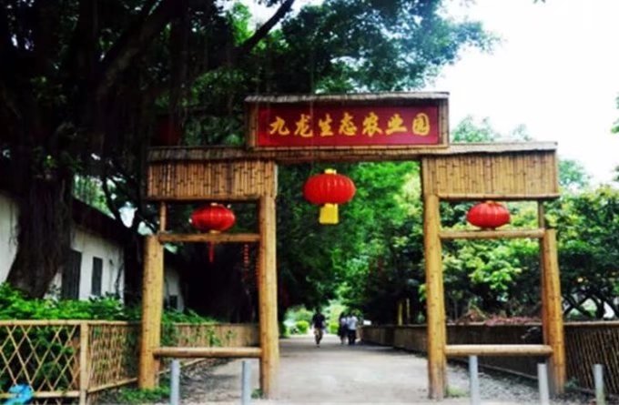 鹤祥园，友情的温馨日常新篇章