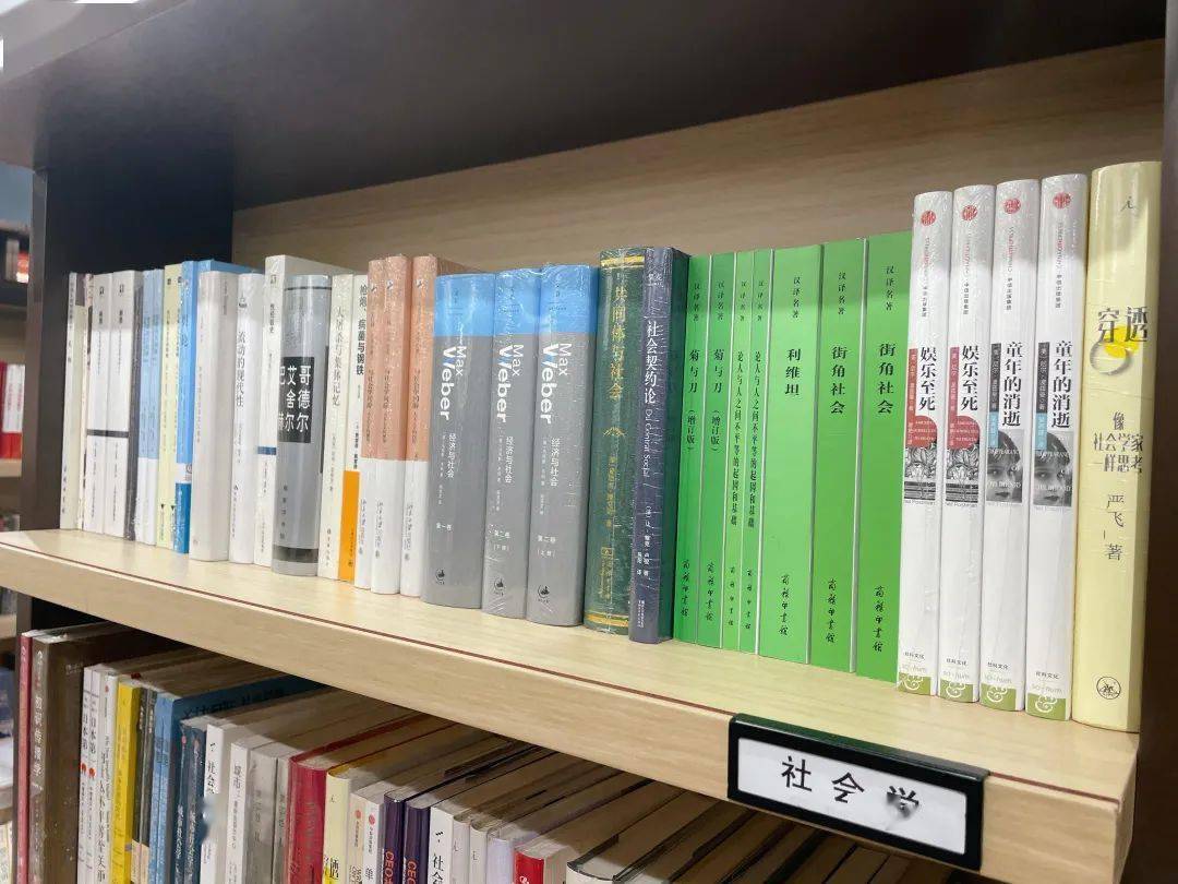 微光最新章节,微光最新章节，日常小确幸与友情的温暖光芒