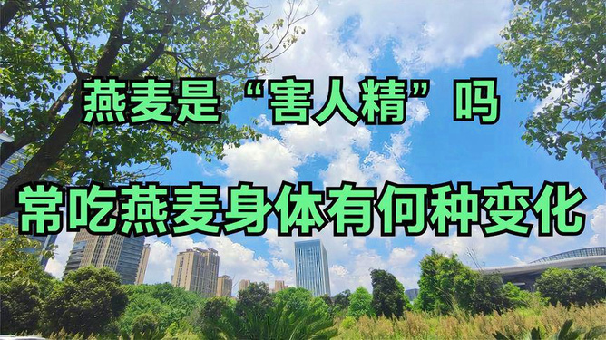 第1103页