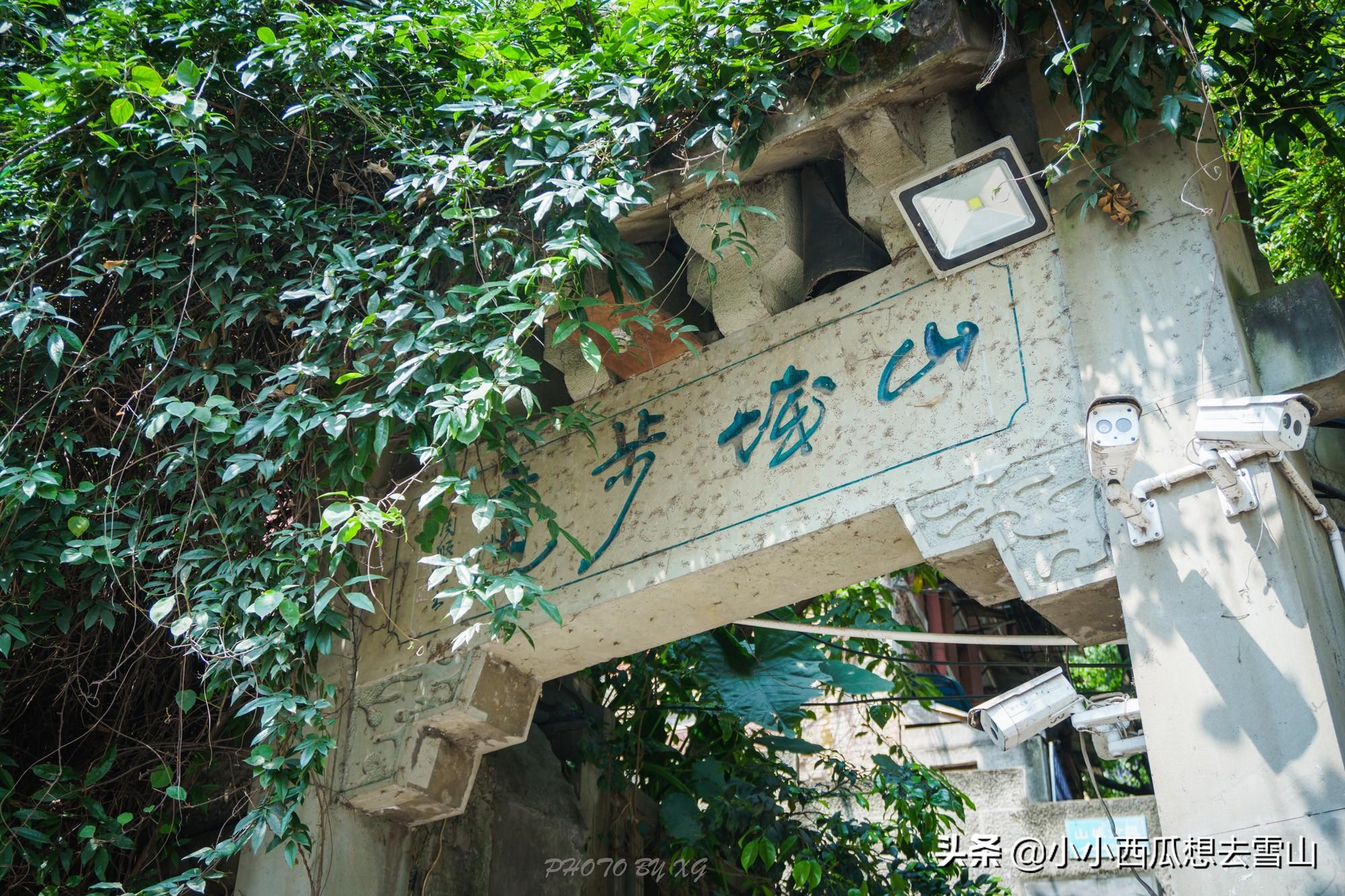 洪崖洞最新动态，探索小巷独特风味之旅