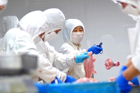 全球疫情下的中国防疫指南，如何有效应对并保护自身健康