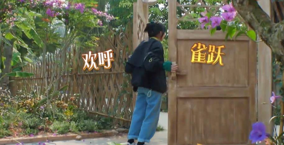 子枫最新动态揭秘，小巷深处的独特风情体验