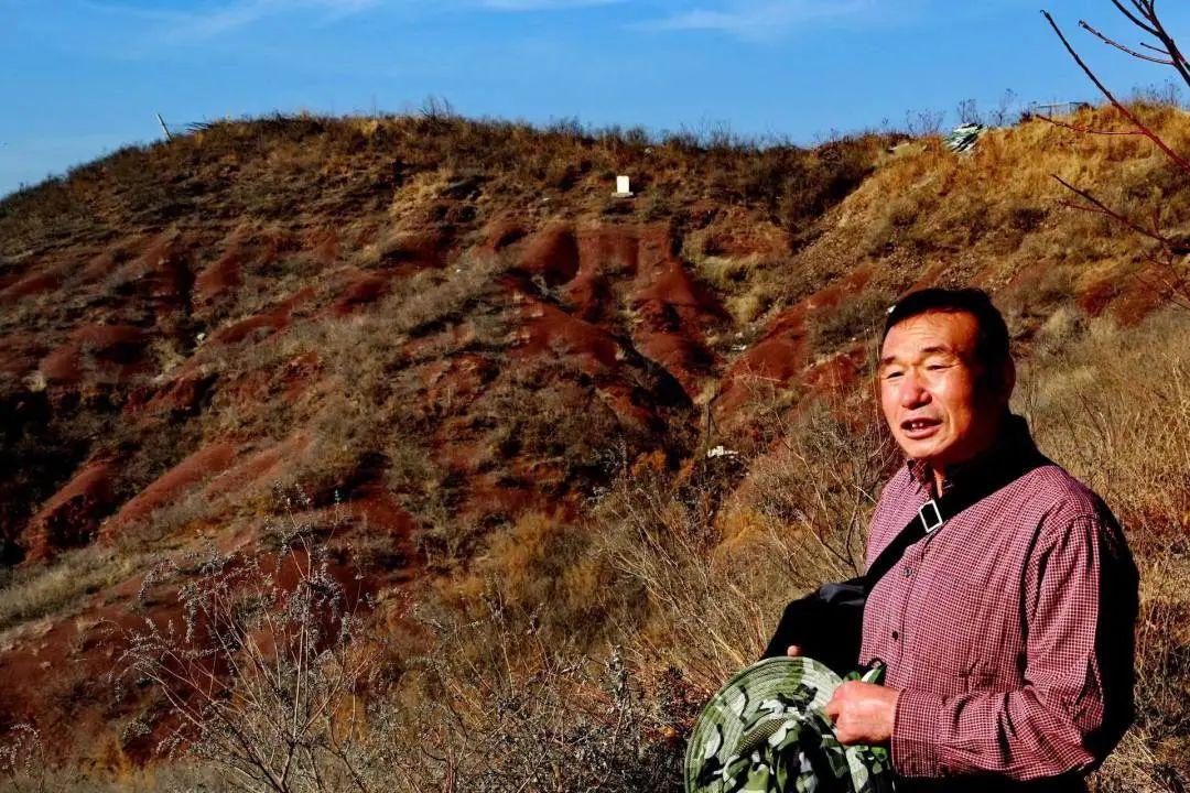 秦皇岛最新楼房揭秘，小巷深处的隐藏瑰宝