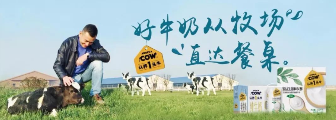 爱奶威最新，引领乳制品行业革新的先锋力量