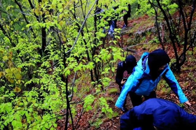 青幕山新探，揭开自然秘境的崭新篇章