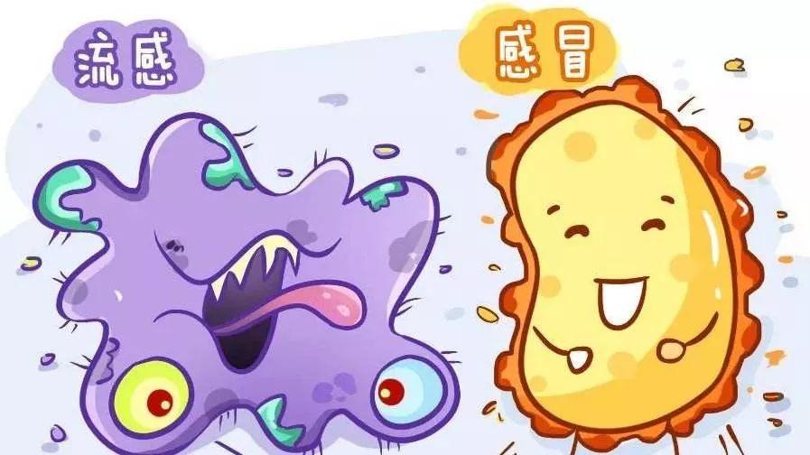 官方发布最新流感信息，细节解读与注意事项📢