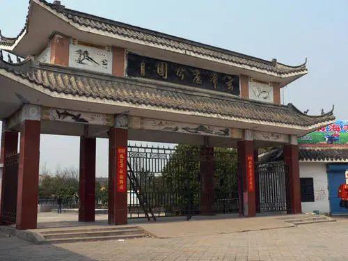 蛇励志之路，闪耀瞬间的力量与变化之道最新新闻