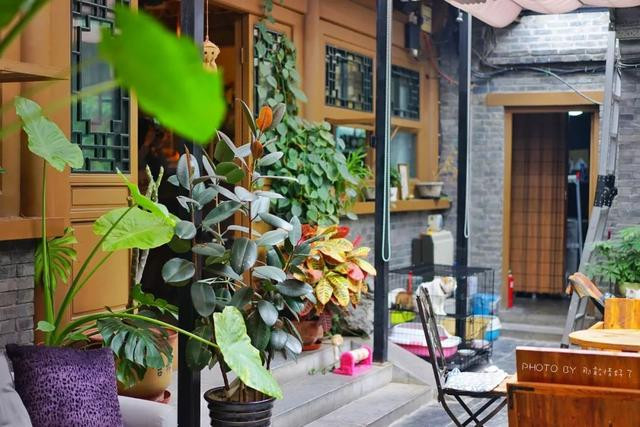 探索绿意小巷宝藏，特色小店与最新真题之旅