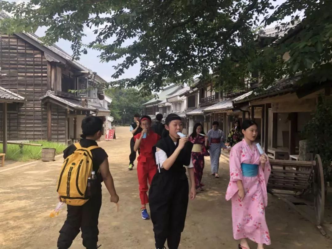 曲嫣漫画最新动态，热门漫画世界探索之旅