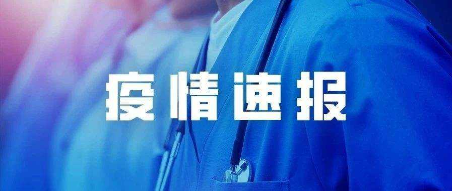 全球疫情最新进展报告，8月疫情通报及防控关键要点解析