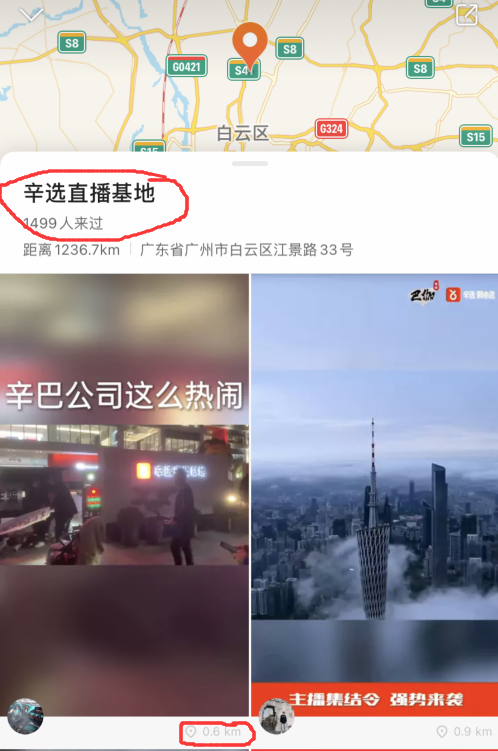 辛巴最新直播基地深度探讨，现象背后的真相与启示