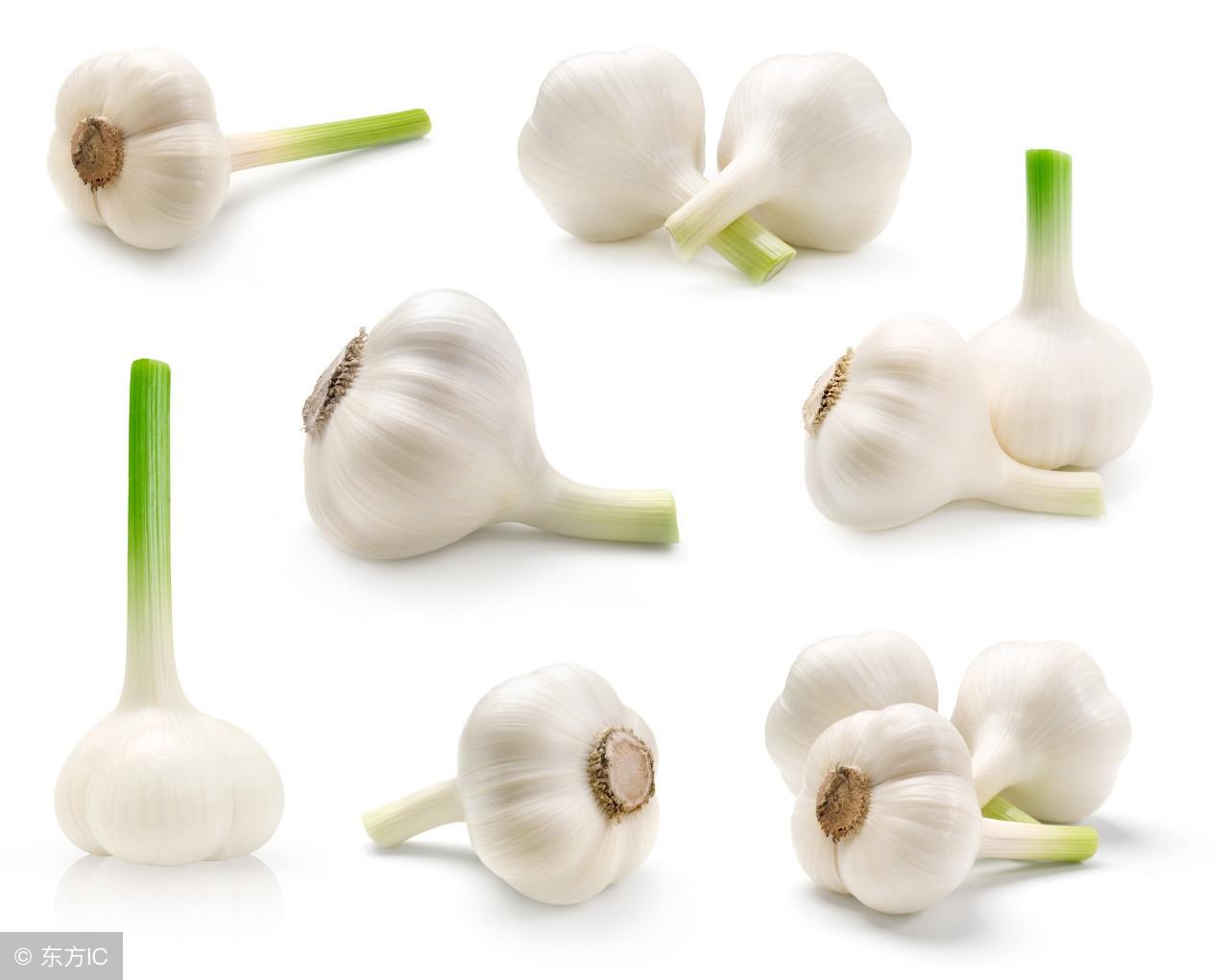最新蒜苔价格详解，查询与购买指南