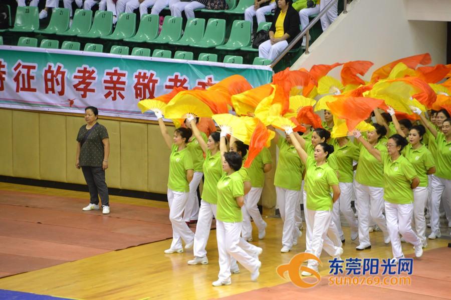 东莞最新新闻大揭秘，一网打尽新鲜资讯，掌握东莞风采