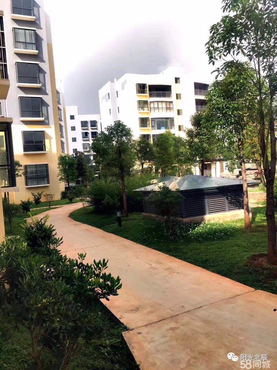 陆良最新二手房市场分析与观点论述，房源概览与趋势探讨