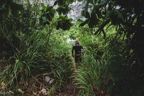 草遛最新地址探索，重塑自我，自信源于学习之路