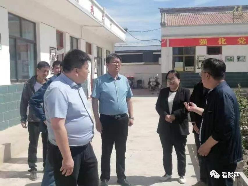 陇西新闻最新动态，多元视角解读