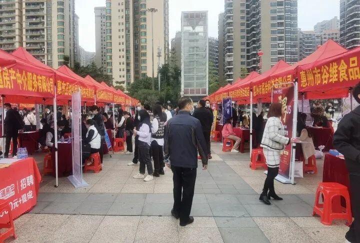 惠东招聘网最新招聘，工作与友情的奇妙邅合之旅