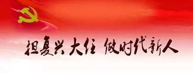 时代背景下的责任与担当，党员义务的最新解读