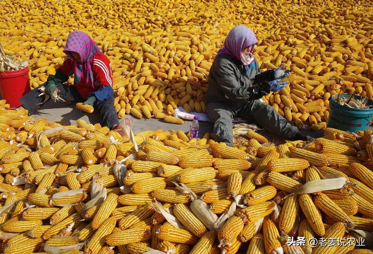 铁价格最新行情一吨，历史背景、重大事件与地位揭秘