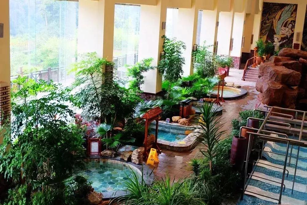 最新网络热词，开启心灵之旅的神奇词汇