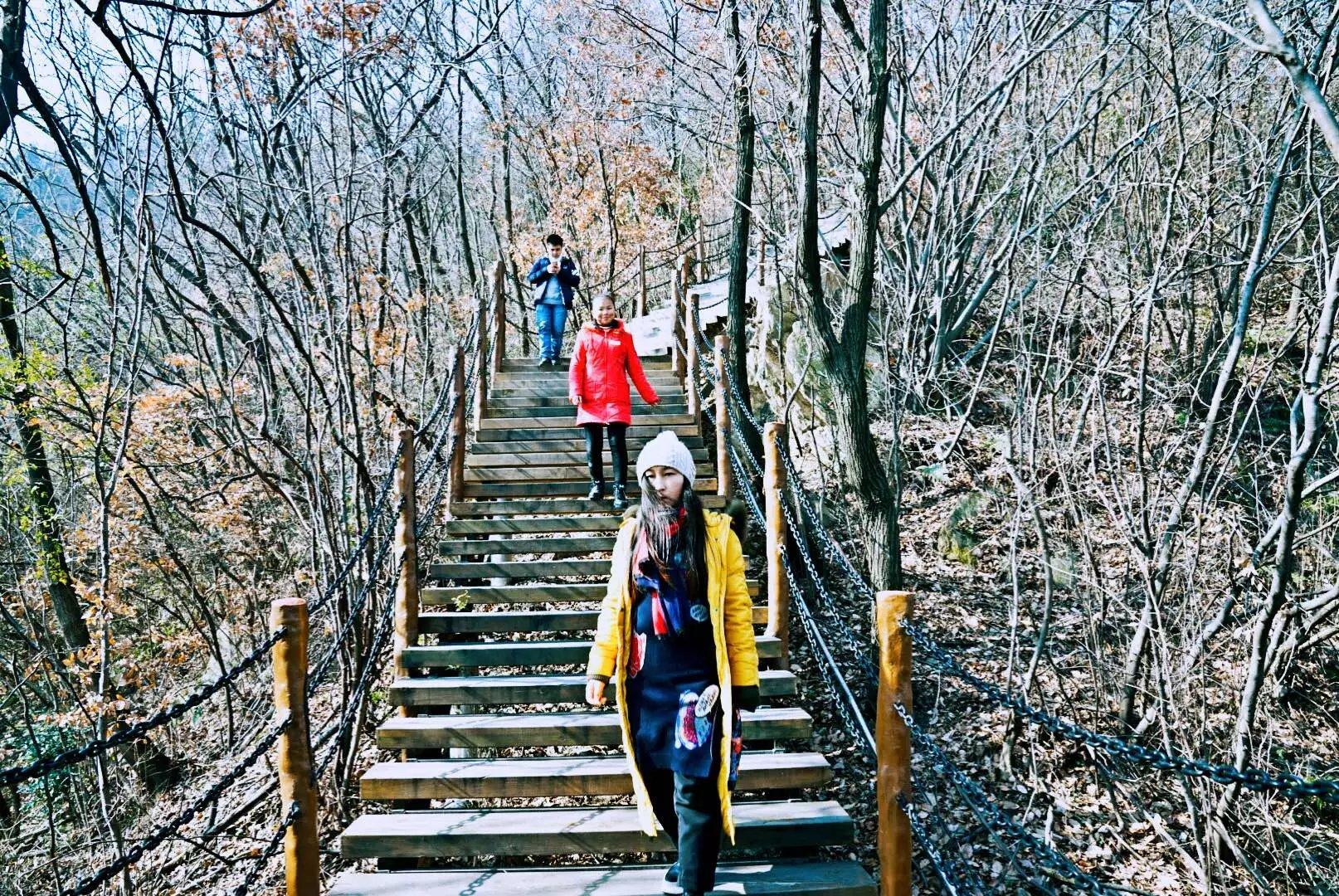 七龙珠最新版本，自然美景探险之旅，寻求内心平和与宁静的旅程