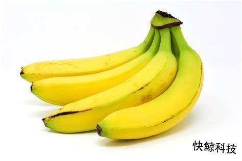 第554页