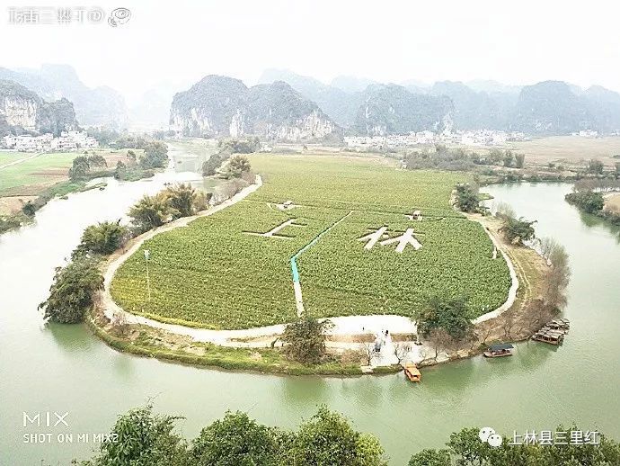 小城温馨日常与深厚友情