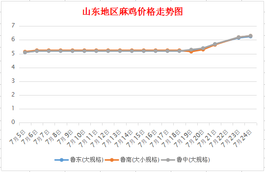 最新麻鸡价格行情及其分析概述