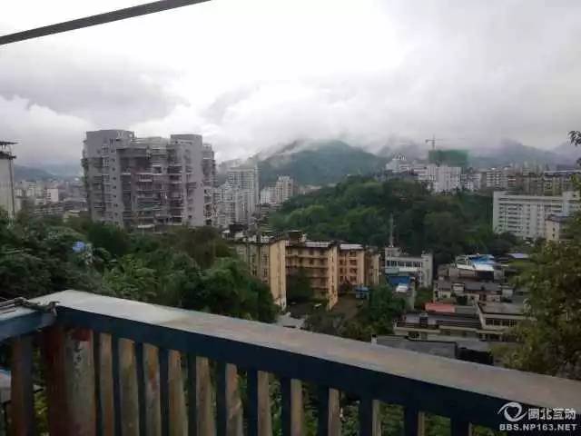 天台房屋出租最新动态更新