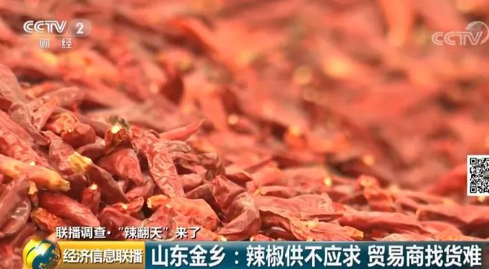 金乡辣椒最新价格，市场分析、观点阐述及市场动态更新