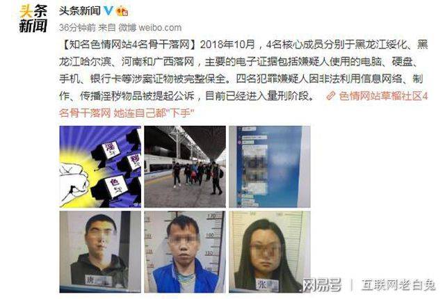 关于友情与陪伴的温馨故事，远离色情内容，传递爱与陪伴的信息
