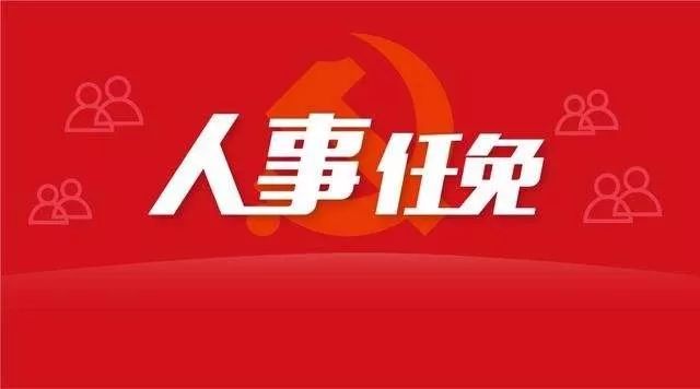 百色最新人事任免
